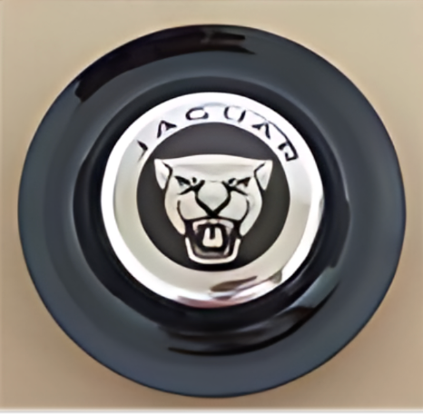 Jaguar Black XL