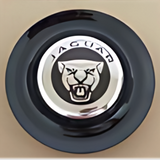 Jaguar Jaguar Black XL