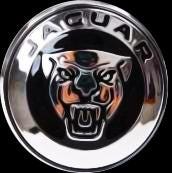 Jaguar Floating Center Caps – 59mm - 1 Cap Black